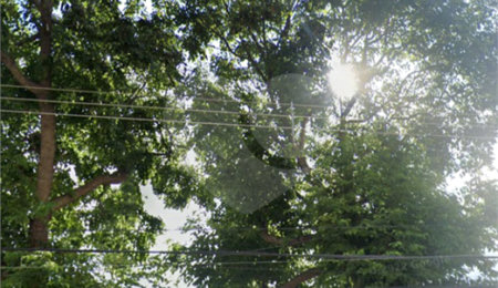 Terreno à venda em Vila Nova Cachoeirinha, São Paulo, SP