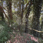 Terreno à venda no condomínio Sausalito, Mairiporã - SP