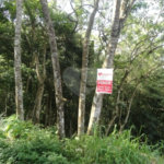Terreno à venda em Samambaia, Mairiporã, SP
