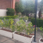 Apartamento à venda com 2 quartos em Méier, Rio de Janeiro, RJ