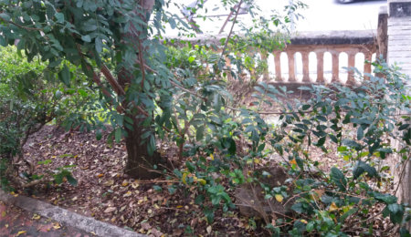 Terreno à venda com 3 quartos em Vila Guilherme, São Paulo, SP