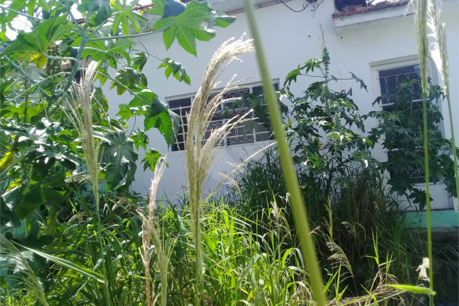 Terreno à venda em Tucuruvi, São Paulo, SP