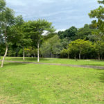 Casa à venda com 3 suítes no condomínio Campos do Conde Ii, Paulínia - SP
