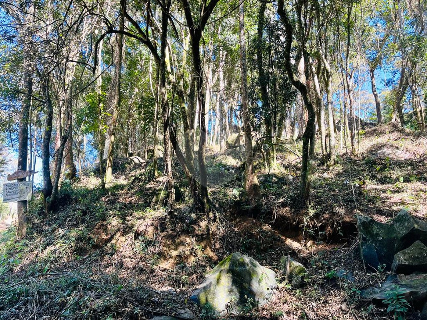 Terreno à venda em Jundiaizinho (terra Preta), Mairiporã, SP