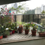 Apartamento à venda com 3 quartos, sendo 1 suíte, em Vila Andrade, São Paulo, SP