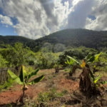 Chácara à venda com 2 quartos no Centro, Paraibuna, SP