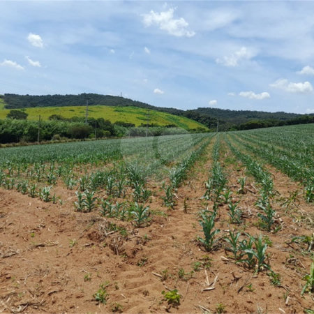 Área de Terra à venda em Paraíso das Aves, Itatiba, SP
