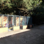Sobrado à venda com 6 quartos, sendo 4 suítes, em Parque Petrópolis, Mairiporã, SP