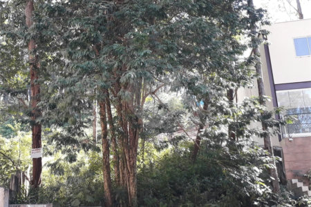 Terreno à venda ou para alugar em Vila Andrade, São Paulo, SP