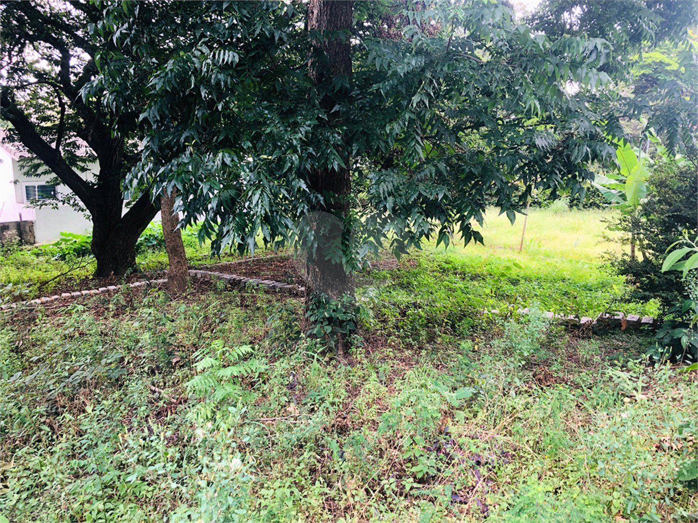 Terreno à venda em Tremembé, São Paulo, SP
