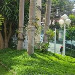 Apartamento à venda 3 quartos 1 suíte no Jardim da Saúde
