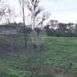 Área de Terra à venda com 1 suíte em Cocais, Itatiba, SP
