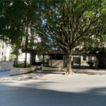 Apartamento à venda com 3 suítes em Vila Andrade, São Paulo, SP
