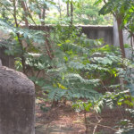 Terreno à venda em Casa Verde, São Paulo, SP