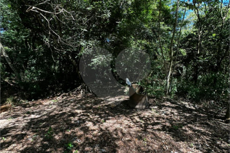 Terreno à venda em Residencial Emilio de Andrade, Ponta Porã, MS