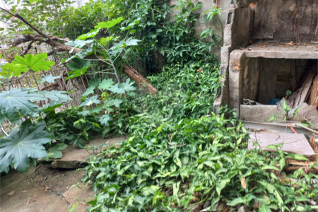 Casa à venda com 2 quartos em Vila Mazzei, São Paulo, SP