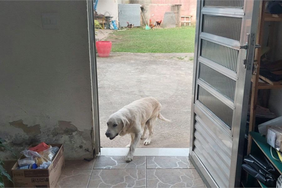 Casa à venda com 4 quartos, sendo 2 suítes, em Rio Acima, Mairiporã, SP