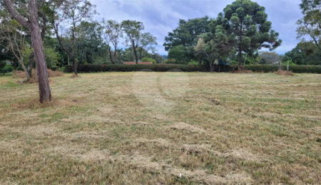 Terreno à venda no condomínio Vila Pinhal, Itirapina - SP
