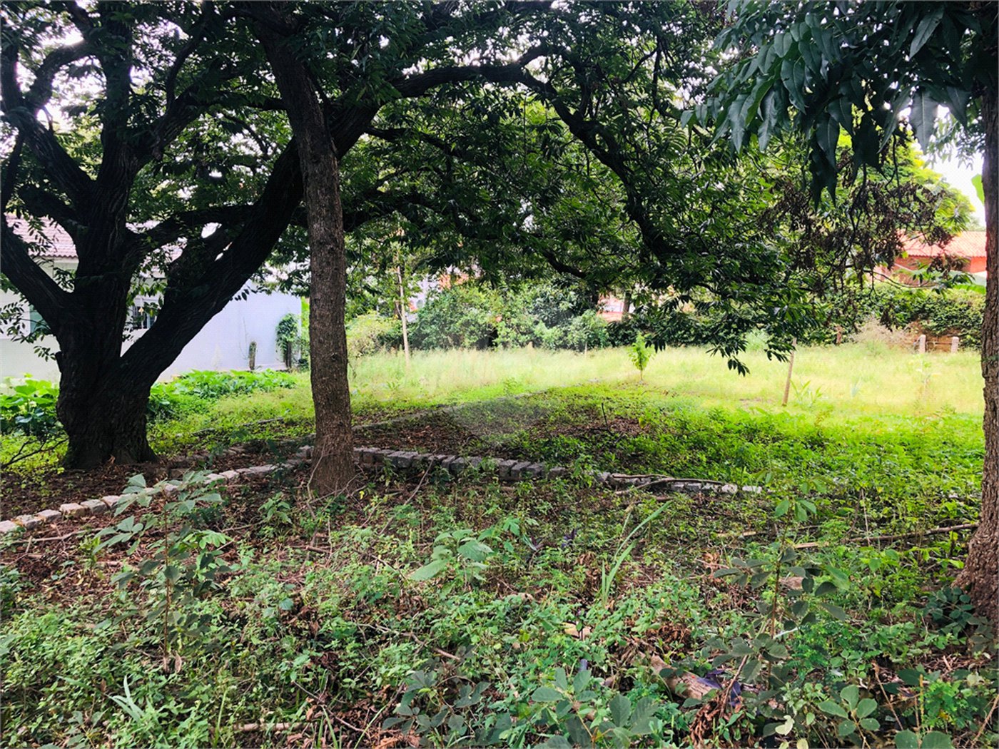 Terreno à venda em Tremembé, São Paulo, SP