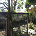 Casa à venda com 3 quartos em Vila Granada, São Paulo, SP