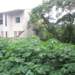 Terreno à venda no condomínio Loteamento Jardim entre Serras, São Paulo - SP