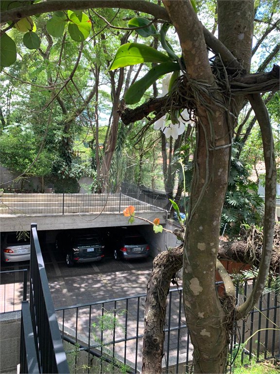 Casa à venda com 5 quartos, sendo 3 suítes, em Morumbi, São Paulo, SP