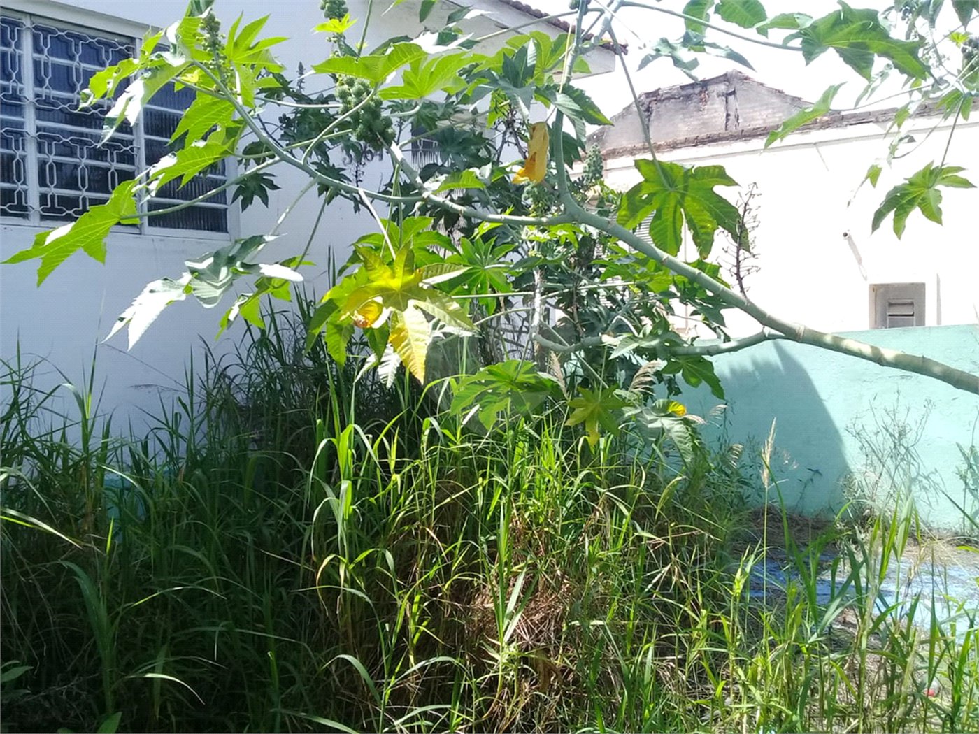 Terreno à venda em Tucuruvi, São Paulo, SP