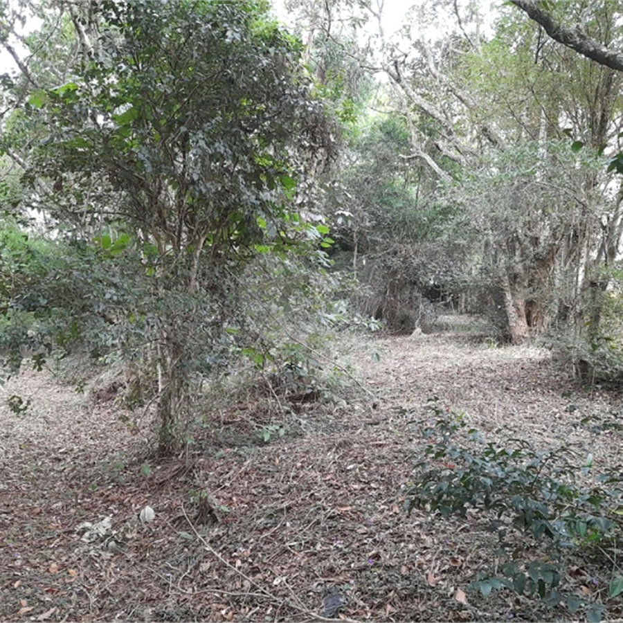 Terreno à venda em Chácaras Fernão Dias, Atibaia, SP