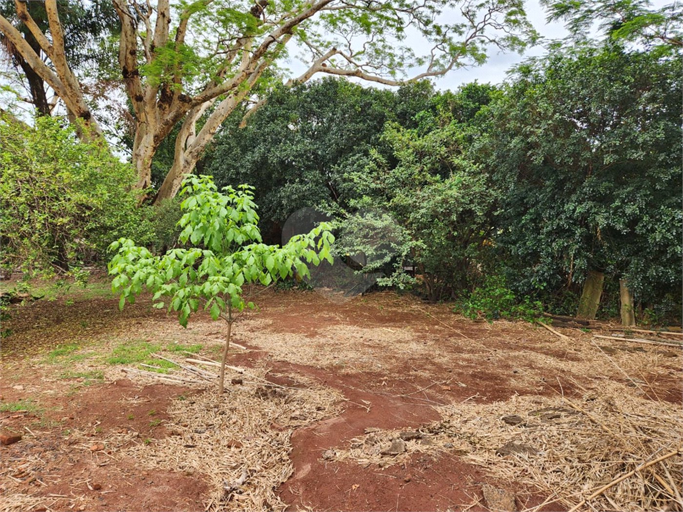Chácara à venda com 2 quartos em Jardim Califórnia, Araraquara, SP