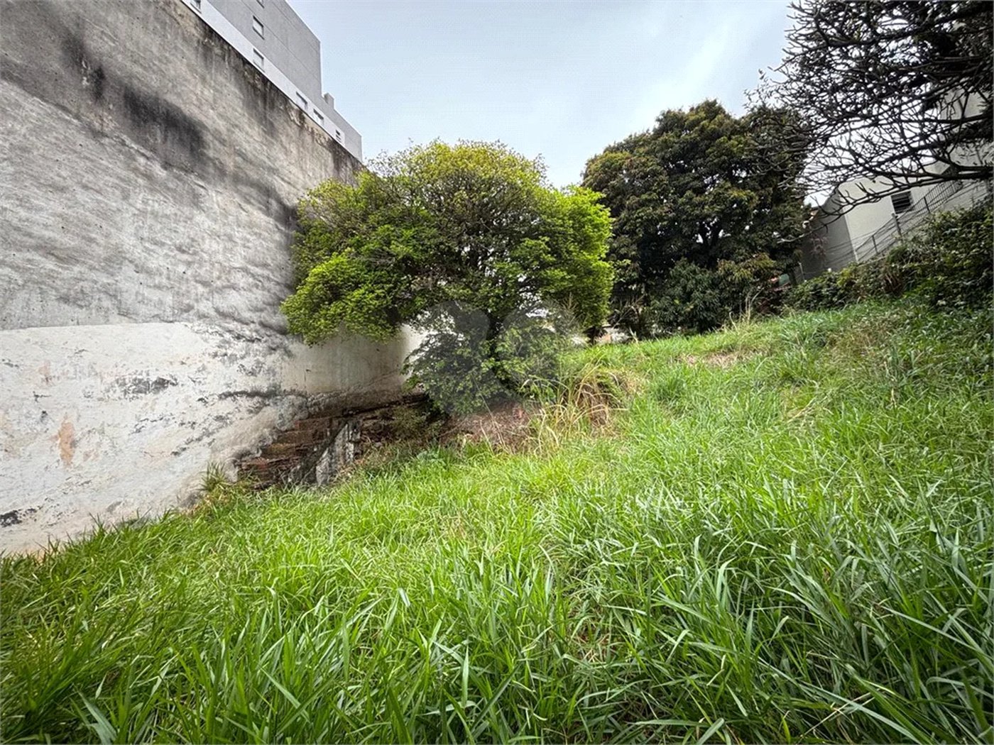 Terreno à venda em Santa Teresinha, São Paulo, SP