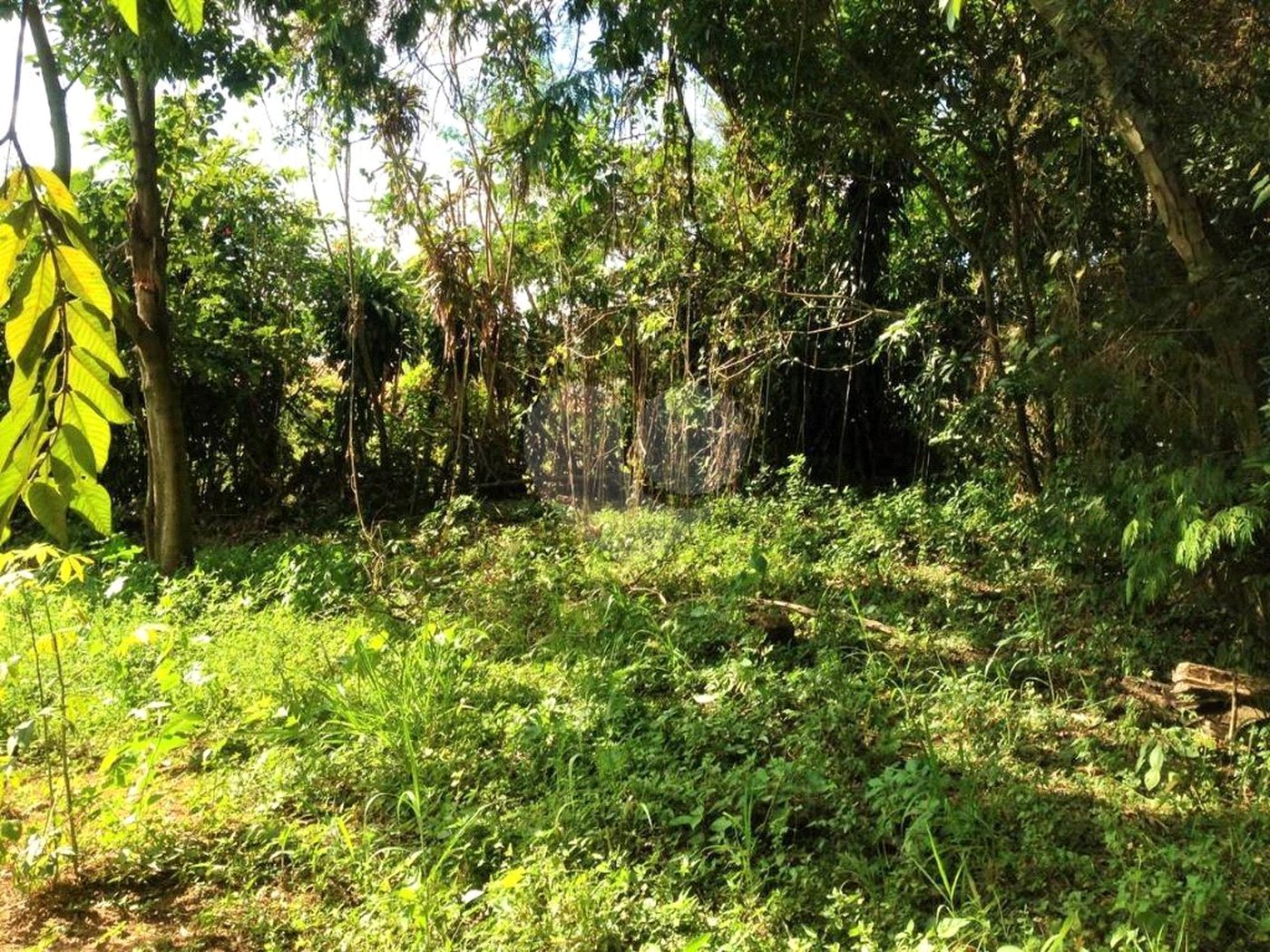 Casa à venda com 4 quartos em Capela, Vinhedo, SP