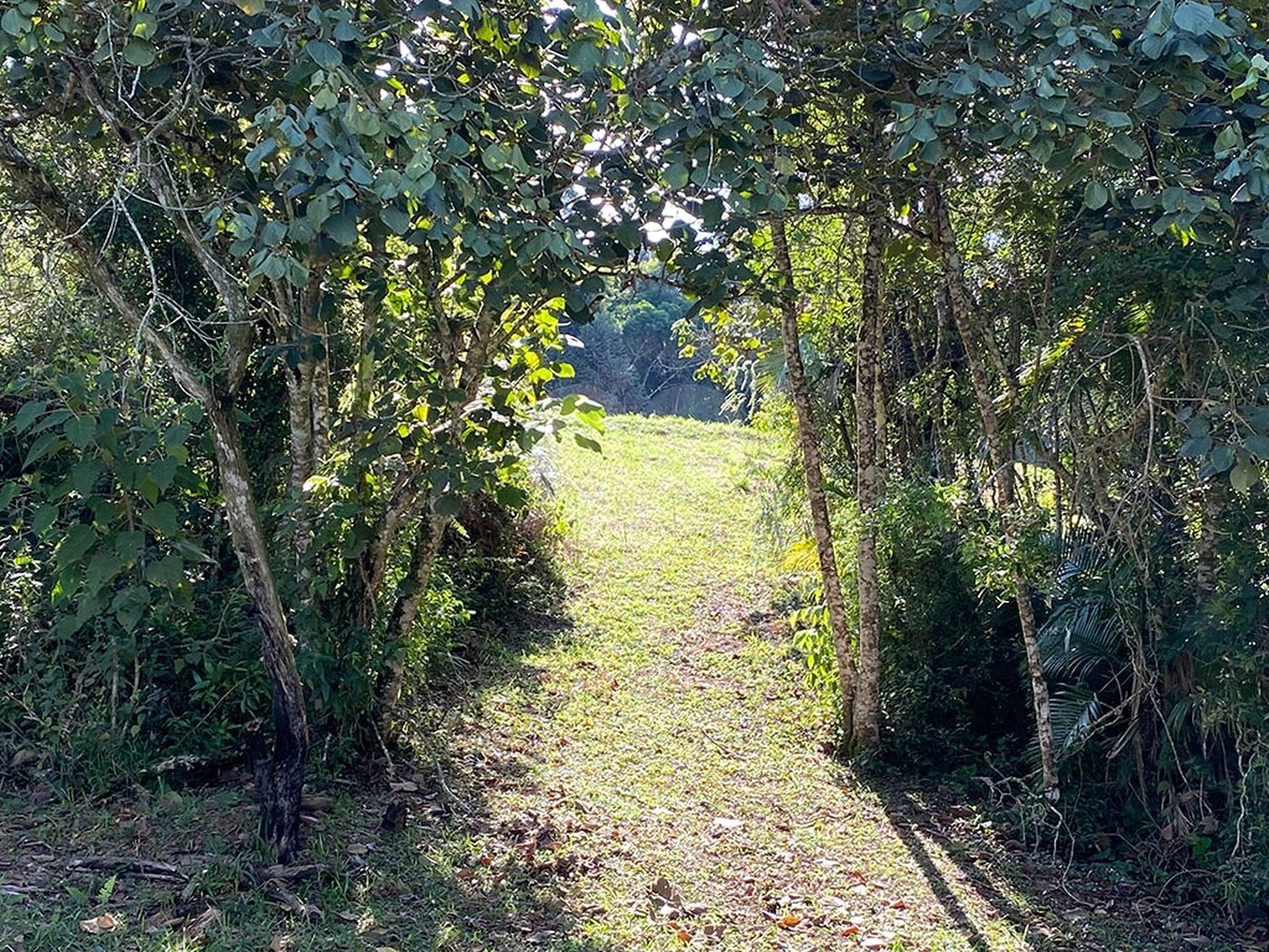 Sítio à venda com 3 quartos, sendo 1 suíte,  no Centro, Biritiba-mirim, SP
