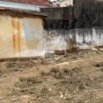 Terreno à venda em Vila Guilherme, São Paulo, SP