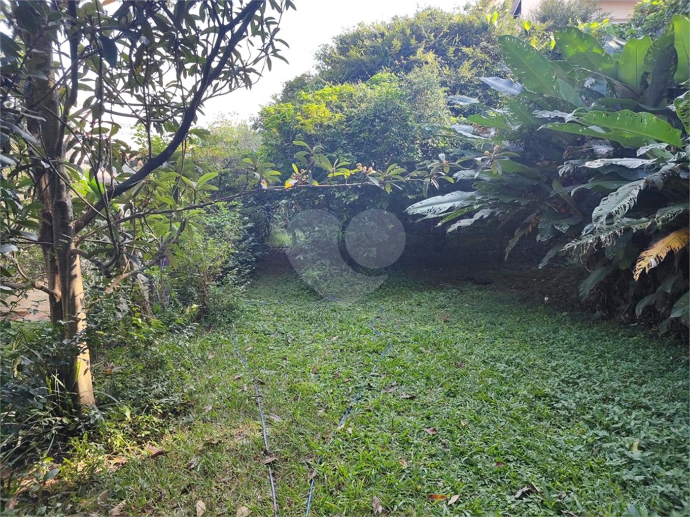 Terreno à venda em Tucuruvi, São Paulo, SP