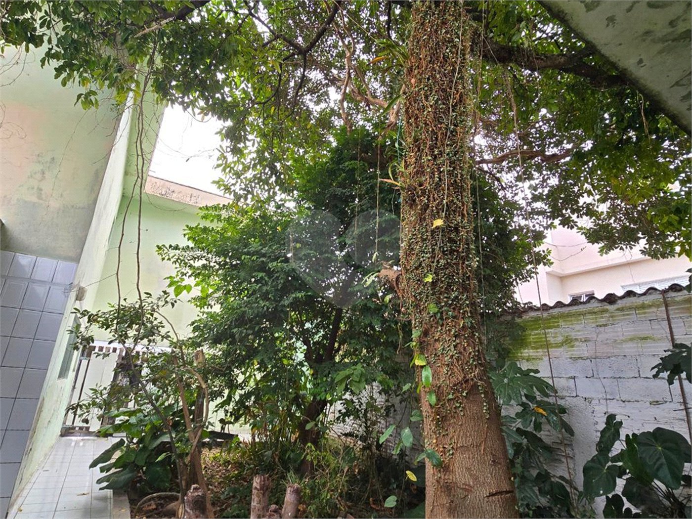 Sobrado à venda com 3 quartos, sendo 1 suíte, em Vila Sabrina, São Paulo, SP
