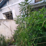 Terreno à venda em Vila Nivi, São Paulo, SP