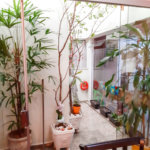 Casa Térrea à venda com 3 suítes em Mandaqui, São Paulo, SP