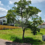 Terreno à venda no condomínio Parque Campos de Santo Antonio II, Itu - SP