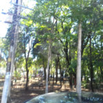 Sobrado à venda com 3 quartos em Jardim São Paulo(zona Norte), São Paulo, SP