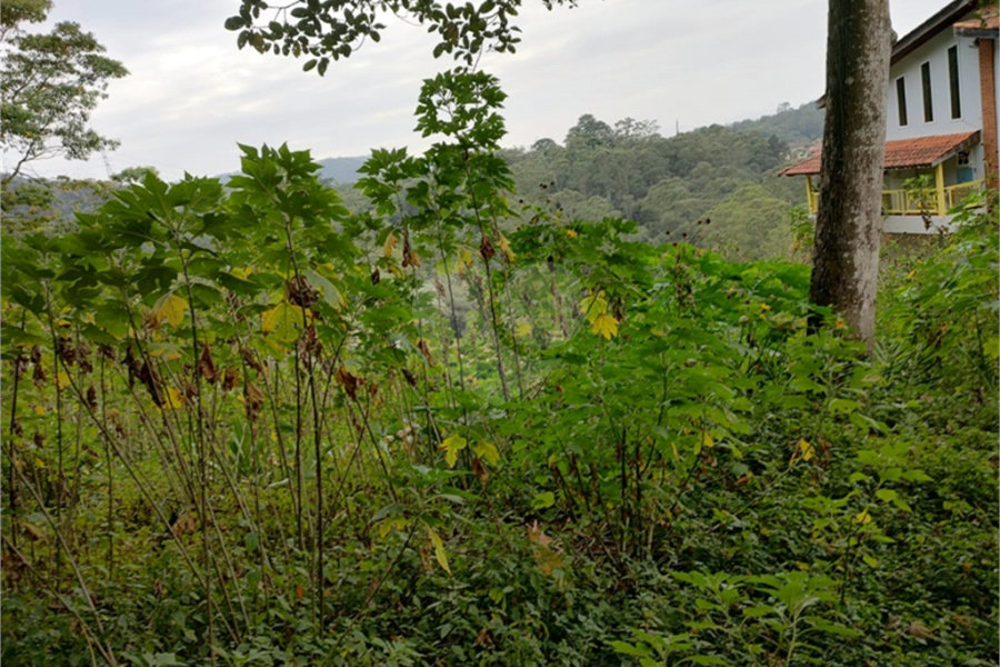 Terreno à venda em Barro Branco (zona Norte), São Paulo, SP