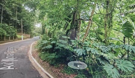 Terreno à venda em Vila Albertina, São Paulo, SP