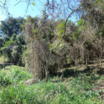 Loteamento à venda em Serra da Cantareira, São Paulo, SP