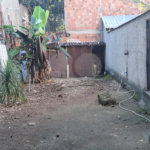 Casa à venda com 3 quartos, sendo 1 suíte, em Campo Grande, Rio de Janeiro, RJ