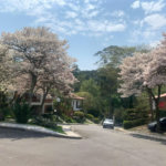 Casa à venda com 4 quartos, sendo 2 suítes, no condomínio Ype Branco 2, São Paulo - SP