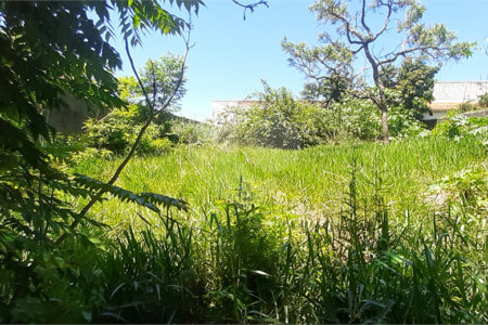 Terreno à venda em Jardim Shangri-lá, Atibaia, SP