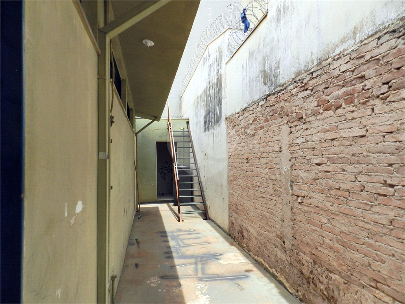 Casa à venda com 3 quartos, sendo 1 suíte,  em Jardim Sumaré, Ribeirão Preto, SP