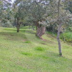 Chácara à venda na cidade de São Pedro - SP no bairro Vertentes das Águas - Refúgio Natural a 30 Minutos de Piracicaba - 5.000 m2