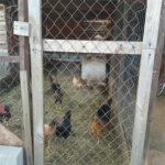 Chácara à venda com 2 quartos em Recanto das Acácias, São Roque, SP