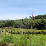 Chácara à venda em Estância Hidromineral Santa Eliza, Itupeva, SP