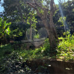 Casa à venda com 3 quartos, sendo 1 suíte, em Rio Acima, Mairiporã, SP